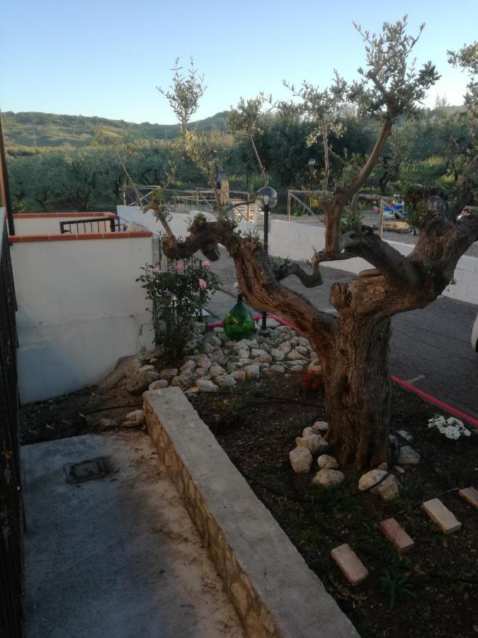 B&B Pozzo Innamorato Montenero di Bisaccia Luaran gambar