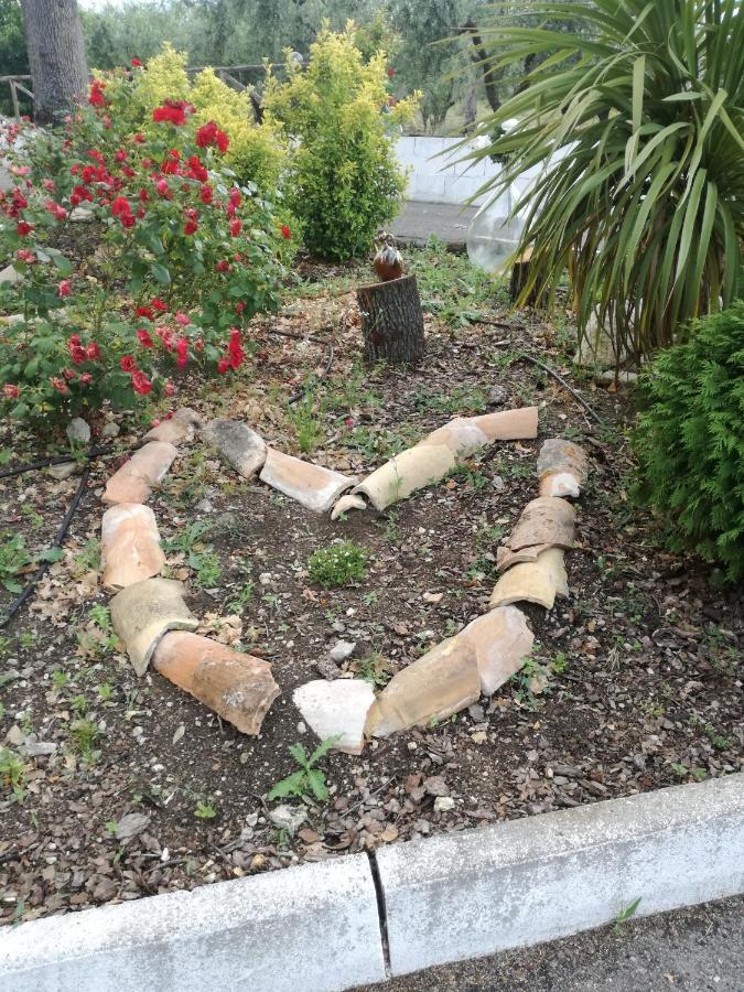 B&B Pozzo Innamorato Montenero di Bisaccia Luaran gambar