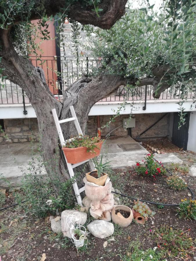 B&B Pozzo Innamorato Montenero di Bisaccia Luaran gambar
